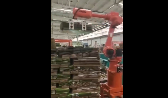 紙箱紙皮碼垛搬運機器人應用案例視頻